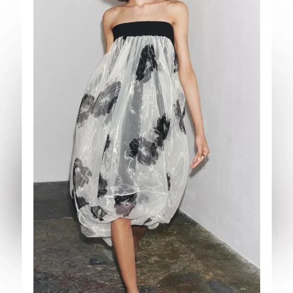 Zara ZW Collection Printed Organza Dress - Picture 2 of 7